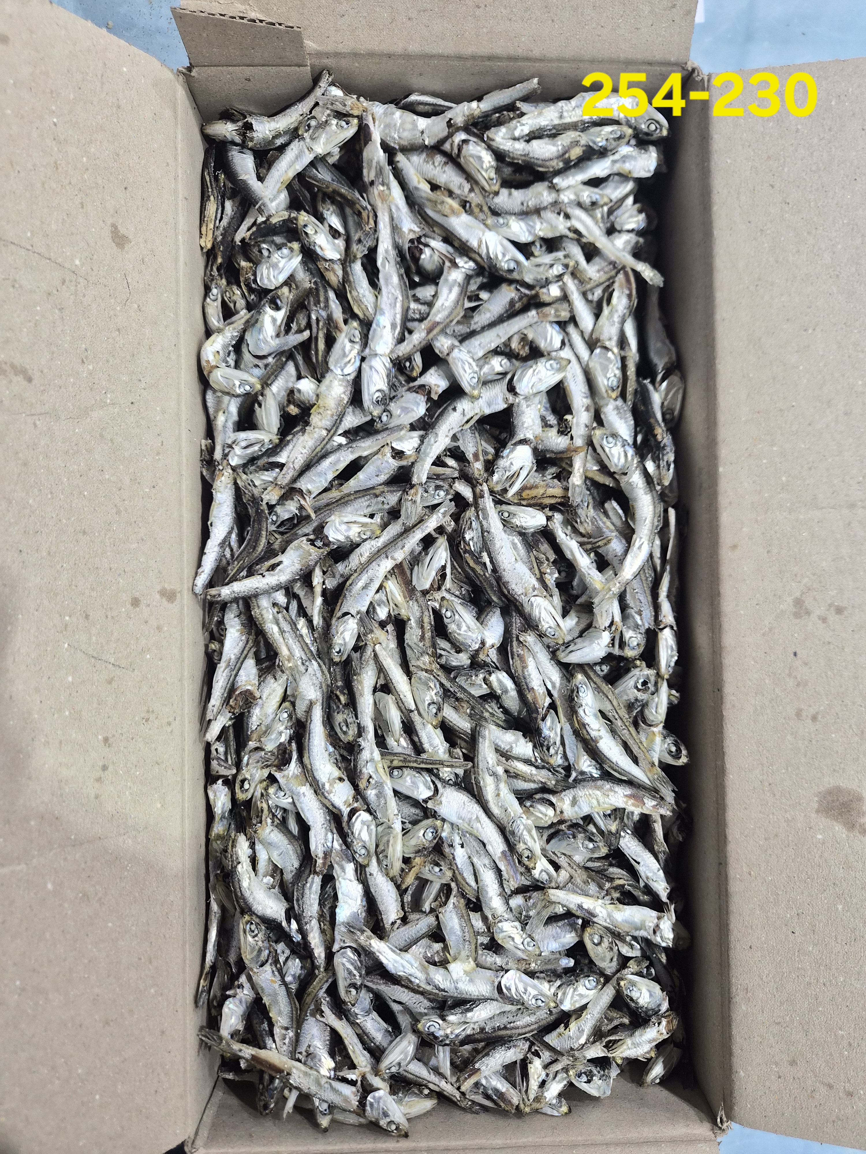 다시멸치 1.5kg, 주바 B급  254-230