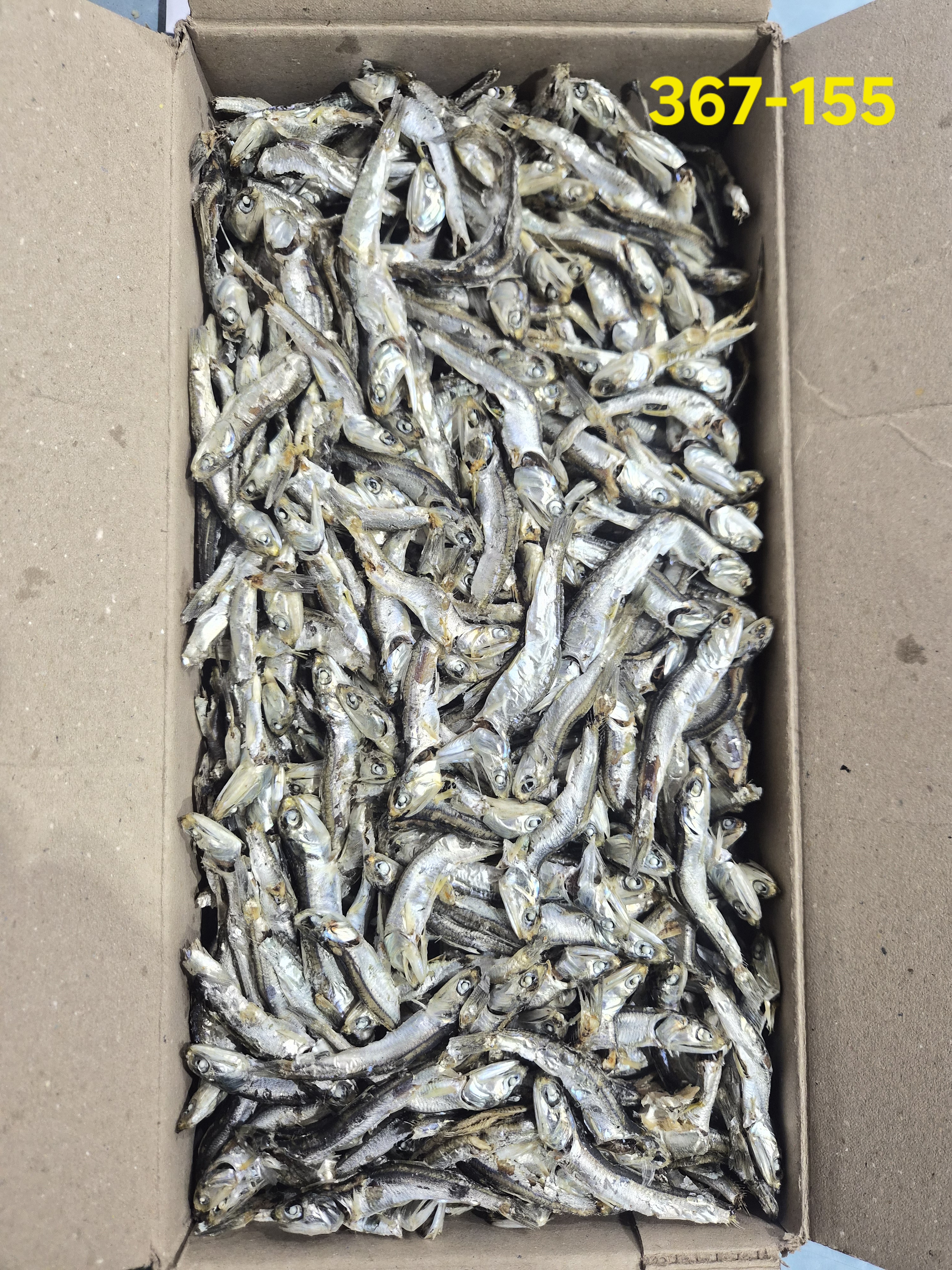 다시멸치 1.5kg, 주바 C급  367-155