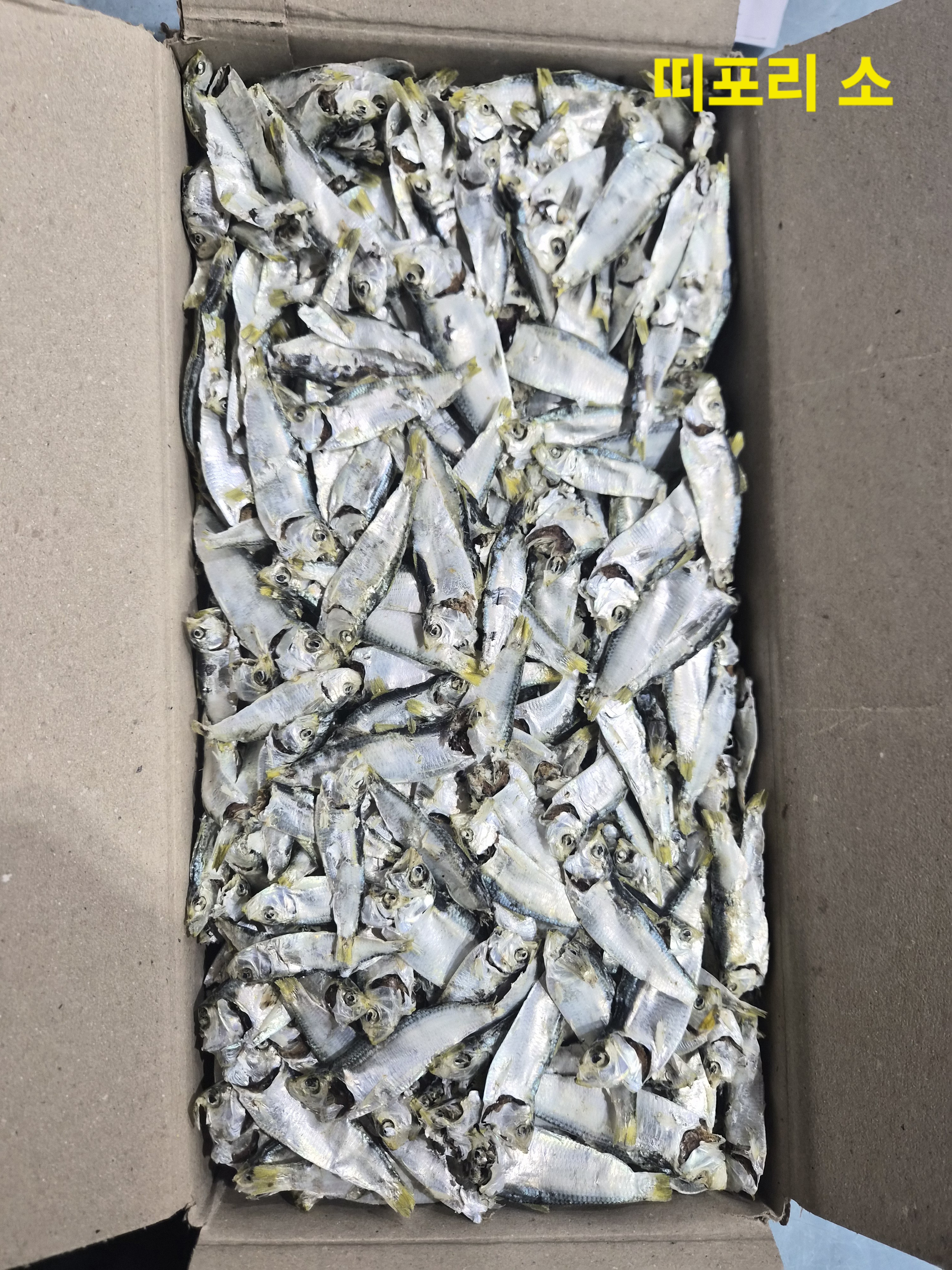 띠포리 小 1.5kg, 건밴댕이, 디포리 無자호 488