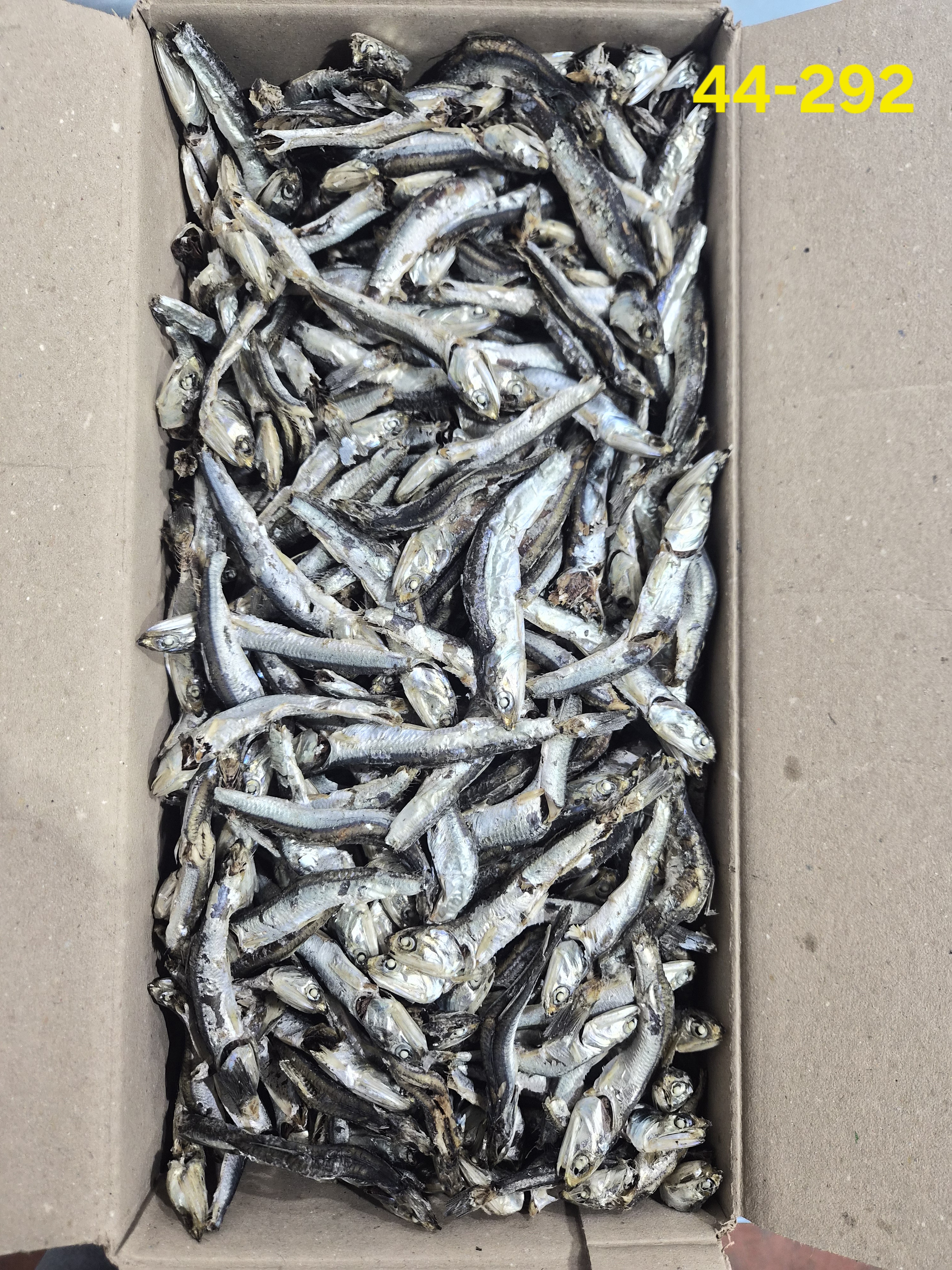 다시멸치 1.5kg, 주바 大 B급  44-292