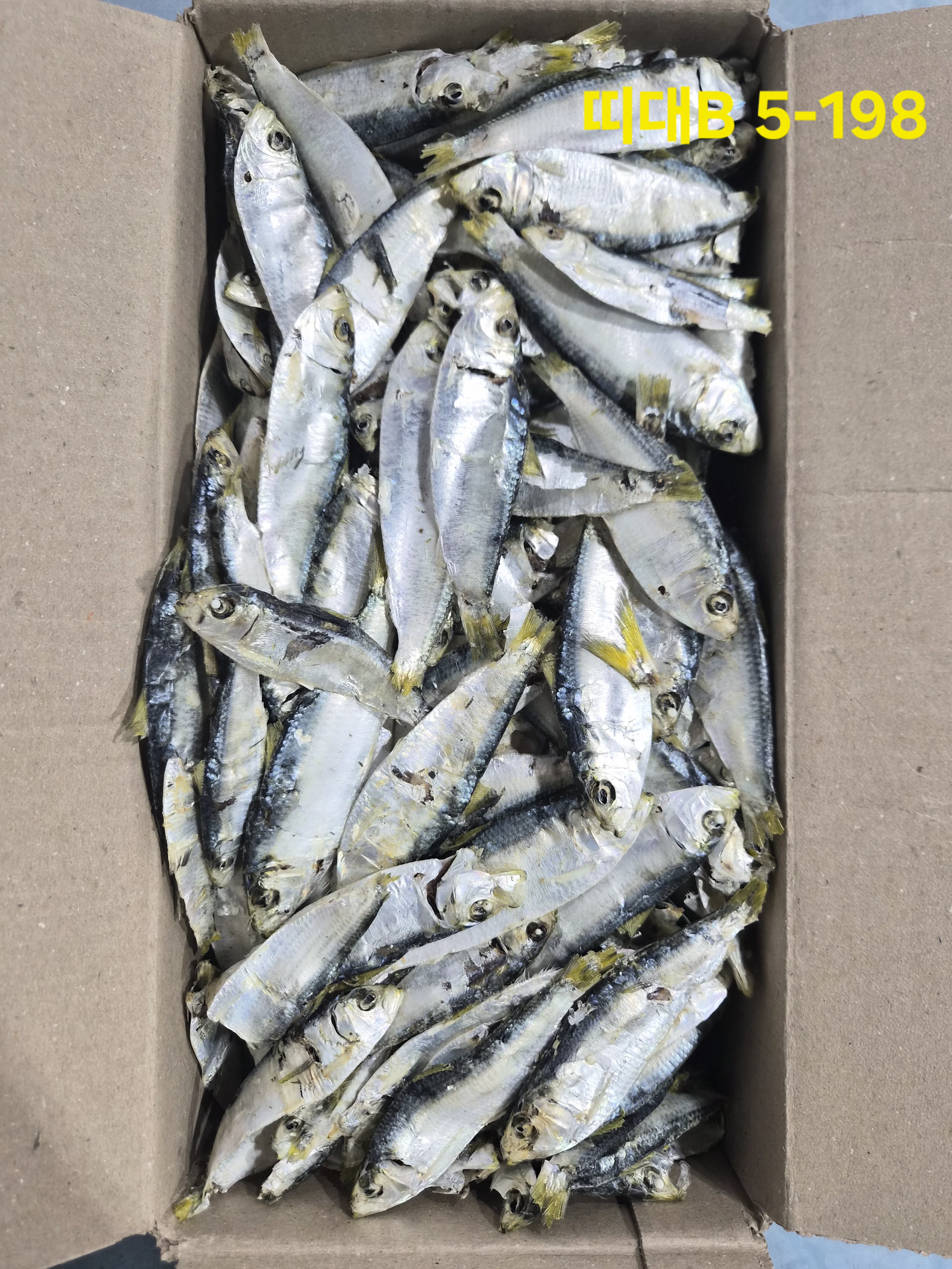 띠포리 大 1.5kg, 건밴댕이,디포리  5-198