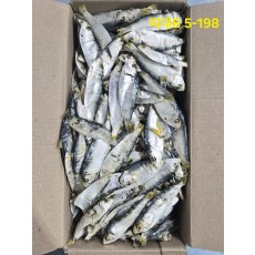 띠포리 大 1.5kg, 건밴댕이,디포리  5-198