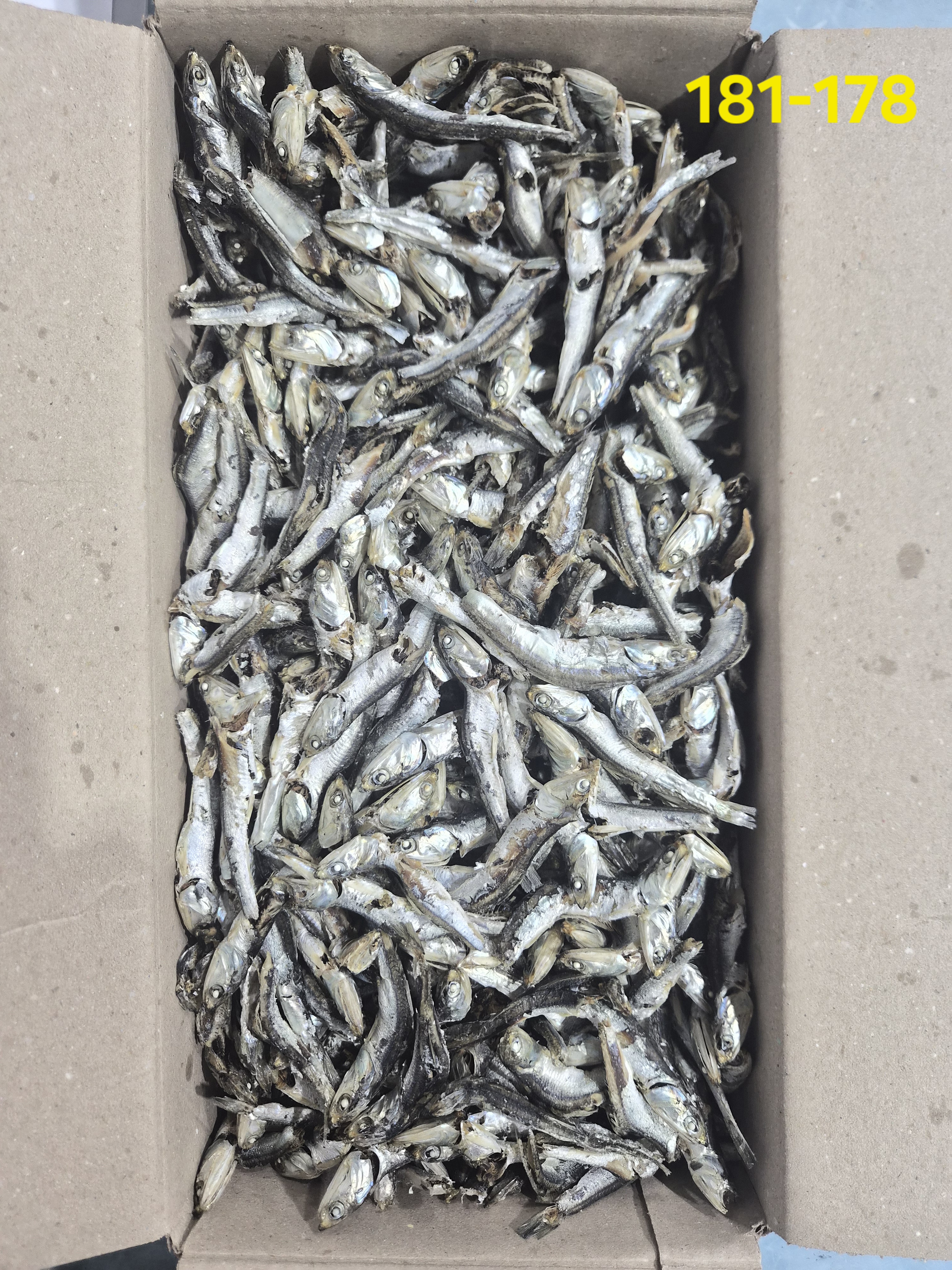 다시멸치 B급 1.5kg, 주바 大 사이즈  181-178