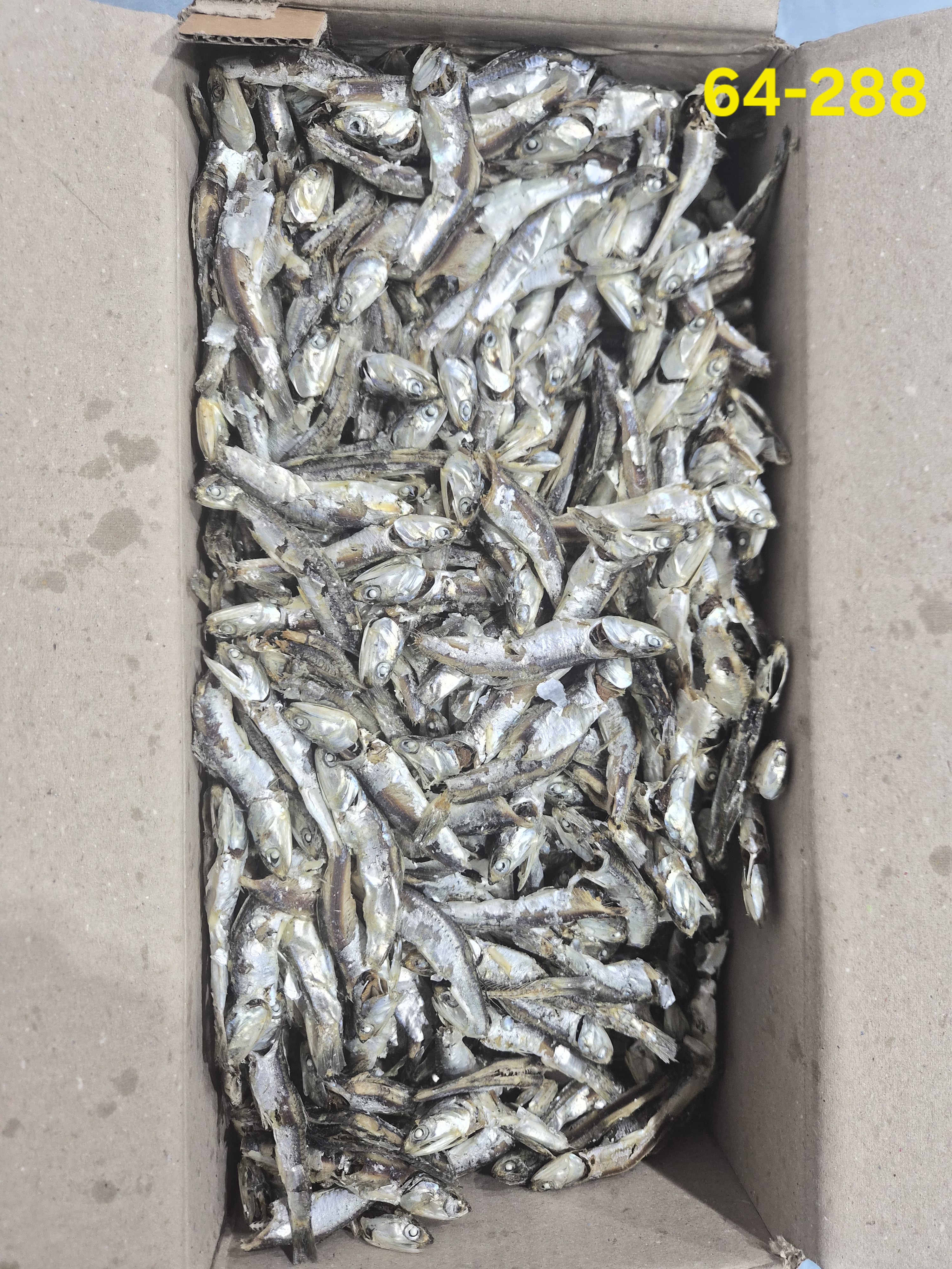 다시멸치 C급 1.5kg  64-288