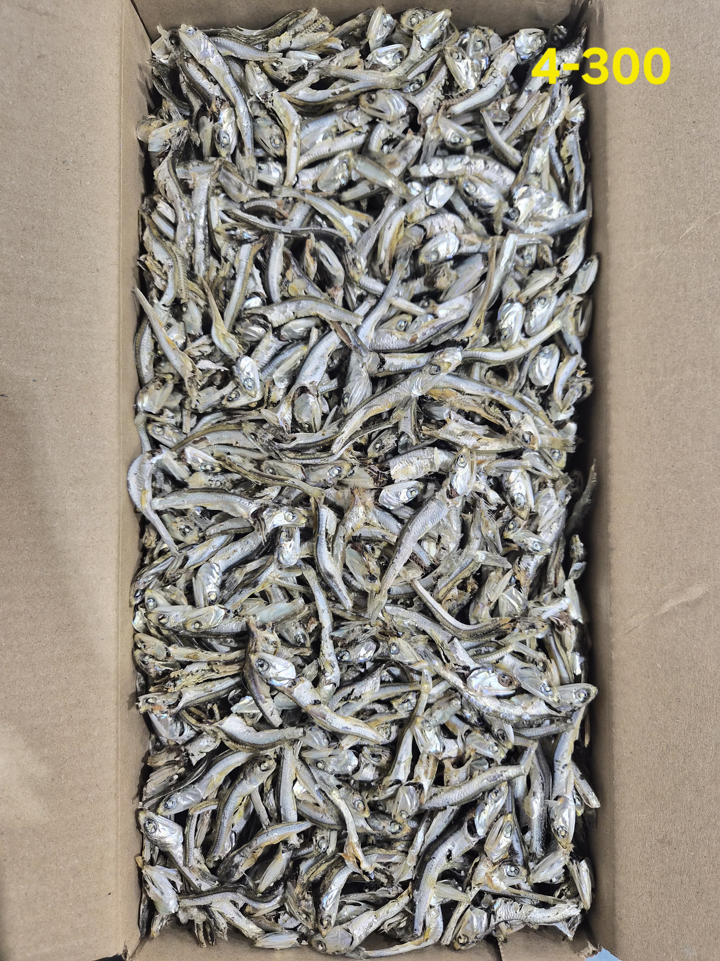 고주바 中 C급 1.5kg 4-300