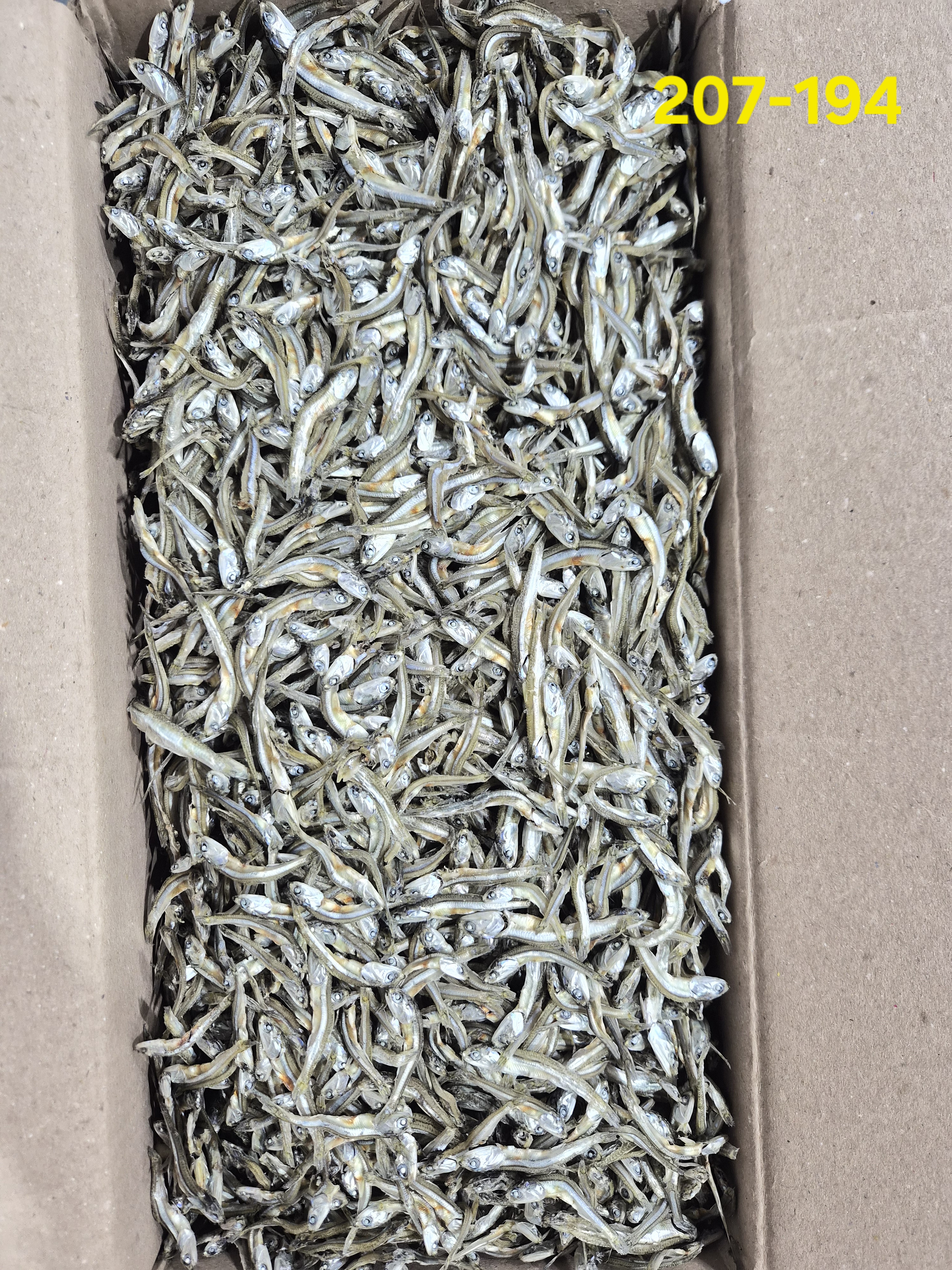 고가이리 中 B급 1.5kg 207-194