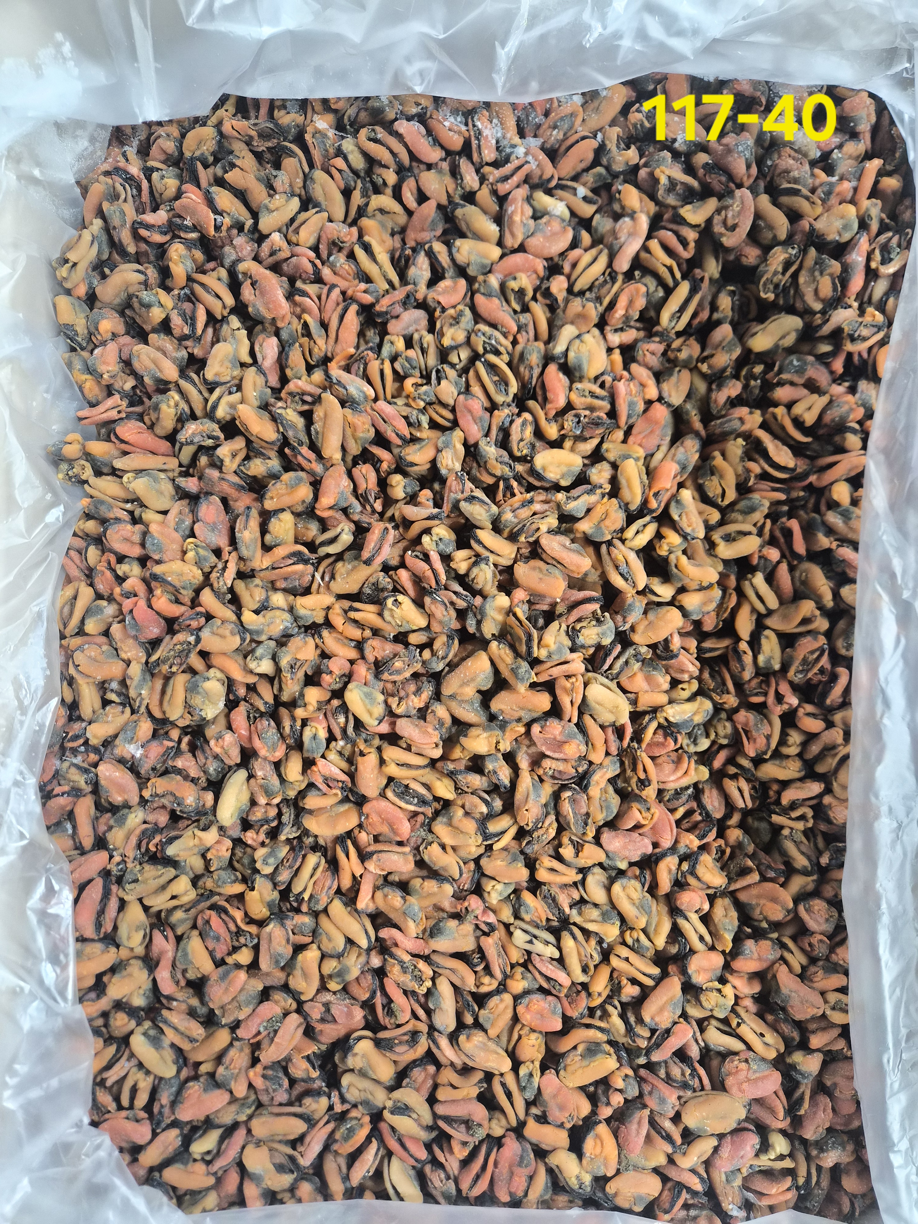 홍합 中 1kg 단가 25,000원 20kg 117-40