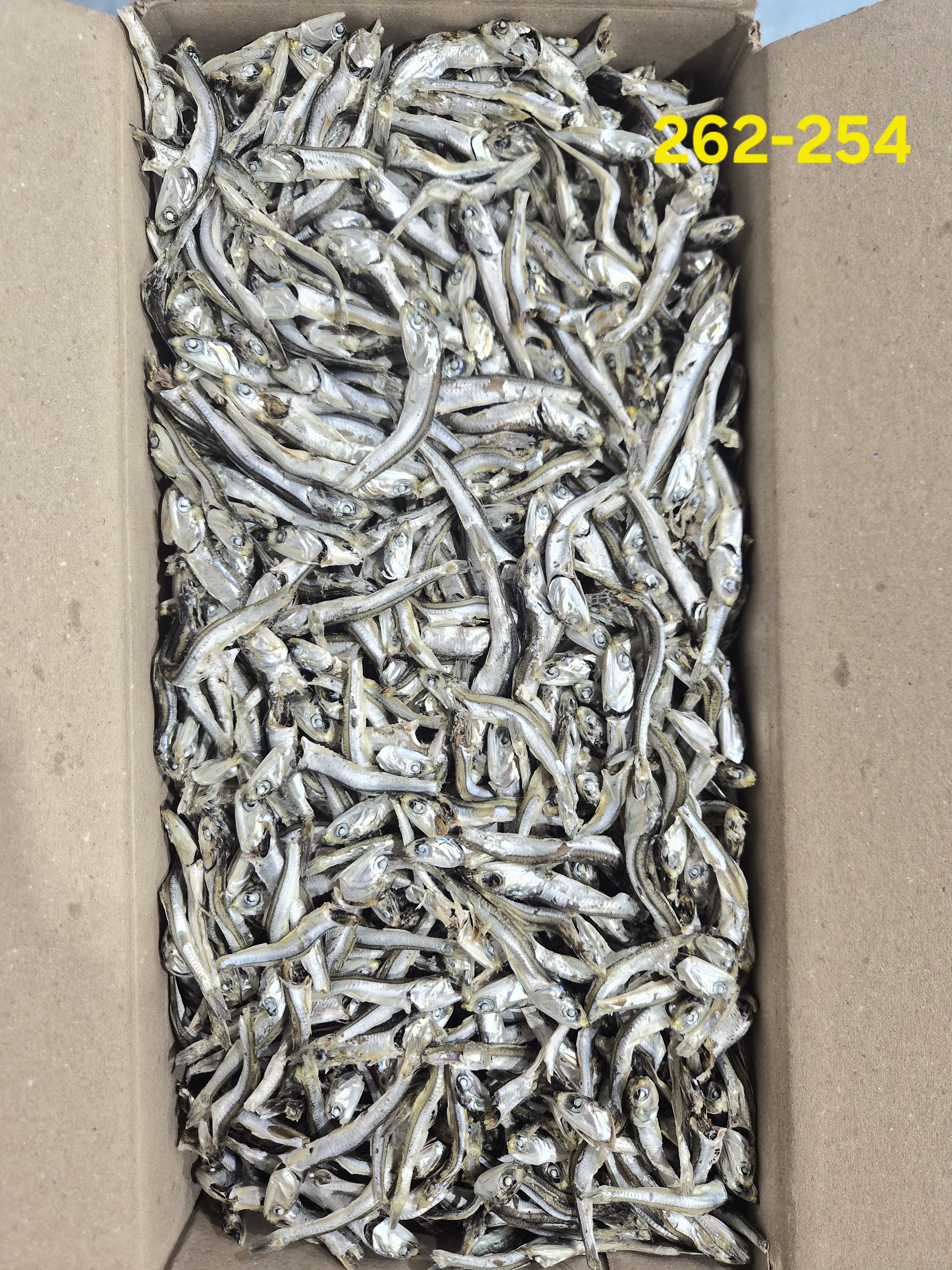 고주바 大 B급 1.5kg 262-254
