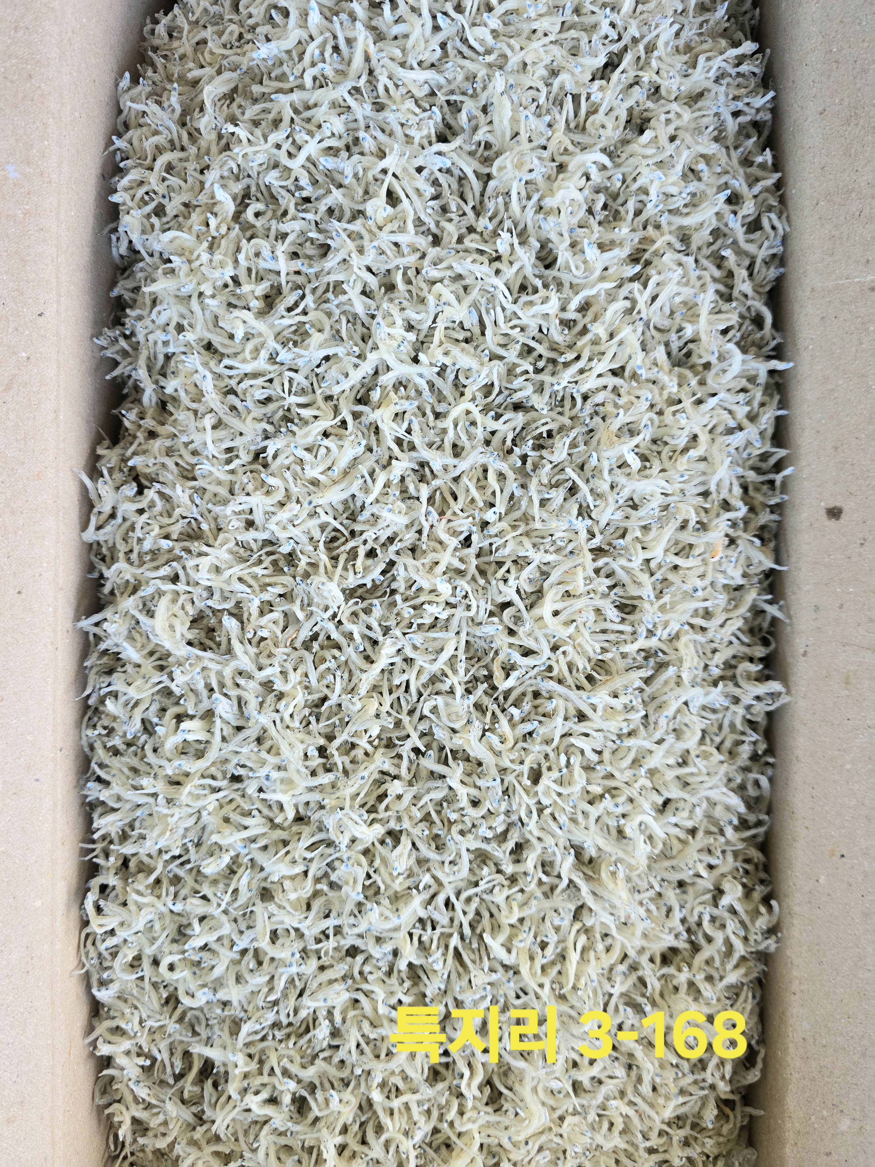 특지리 1.5kg 3-168