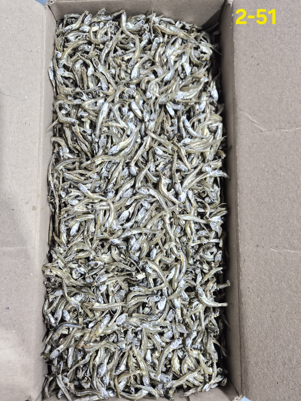 햇멸치 햇고가이리1.5kg 2-51