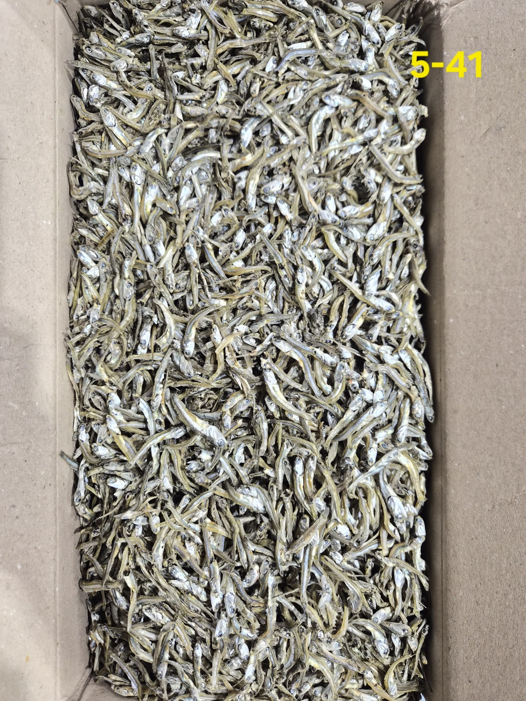 햇멸치 햇고가이리1.5kg 5-41