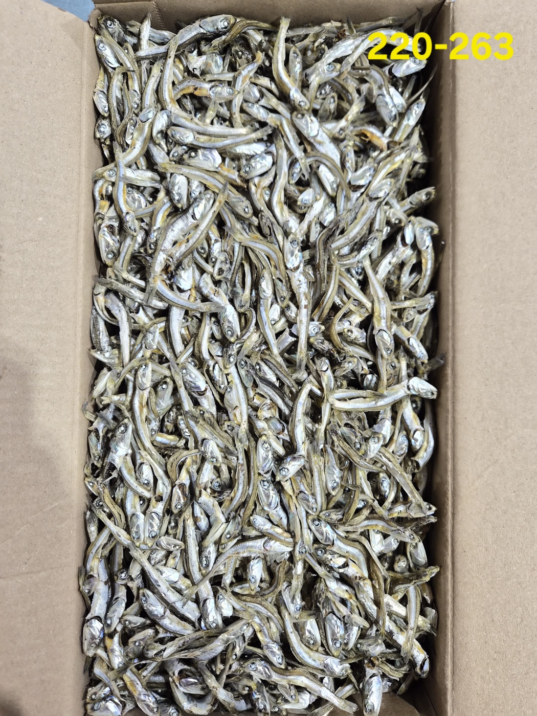 햇멸치 햇고바 1.5kg 220-263