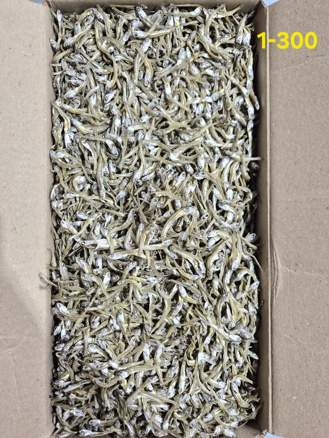 가이리 A급 1.5kg 1-300