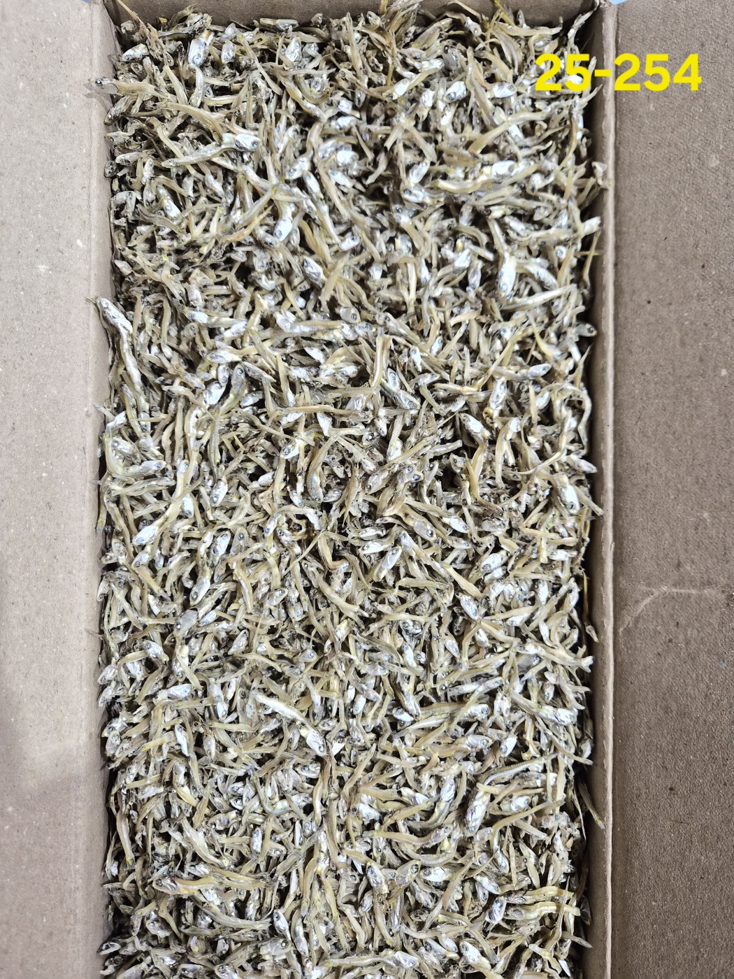 가이리1.5kg 25-254