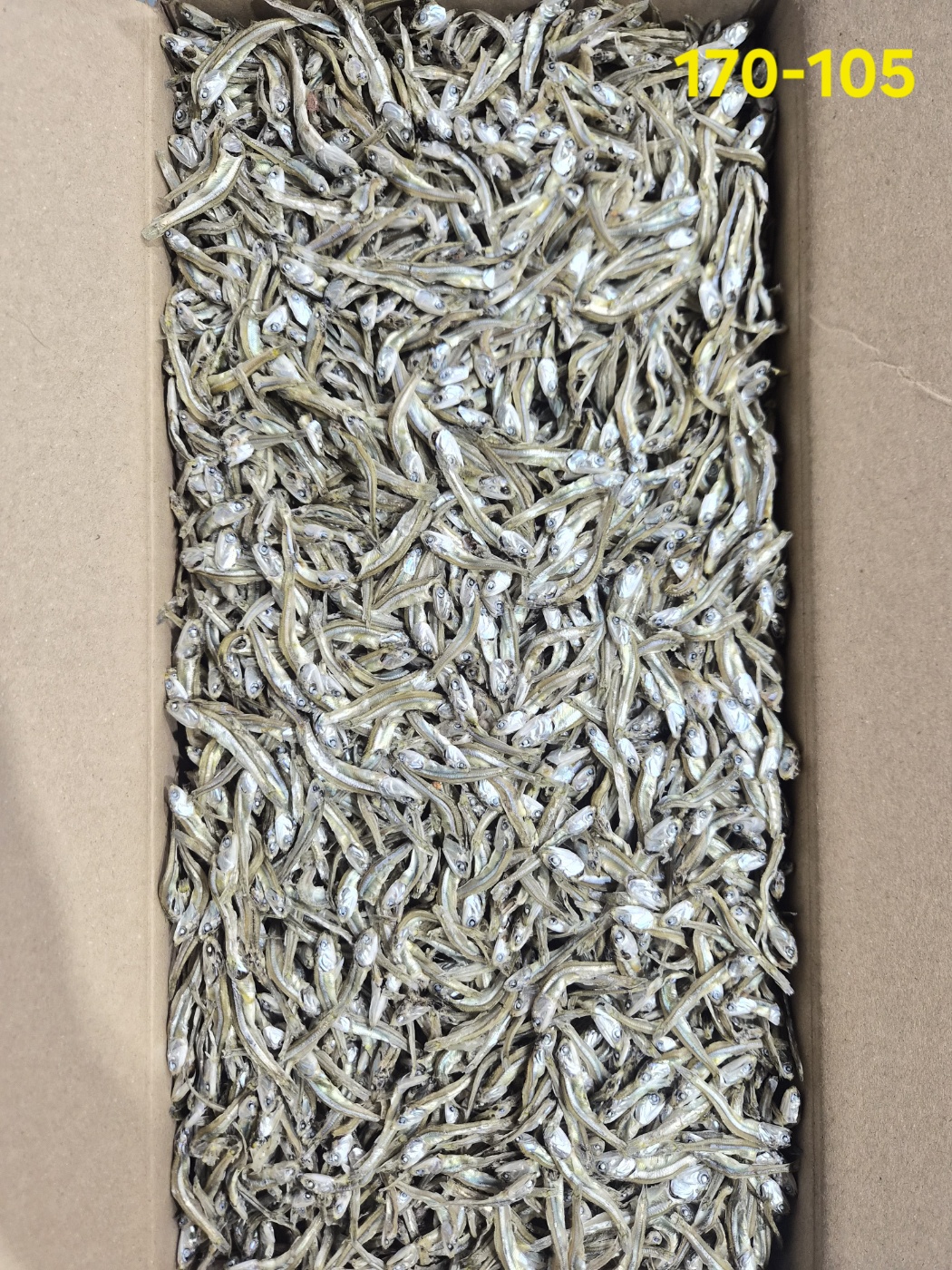햇멸치, 통영산 고가이리1.5kg 170-105