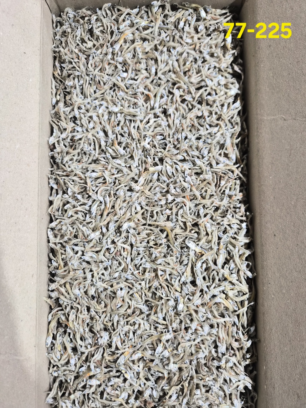 햇멸치, 통영산 알지가이리 1.5kg 77-225