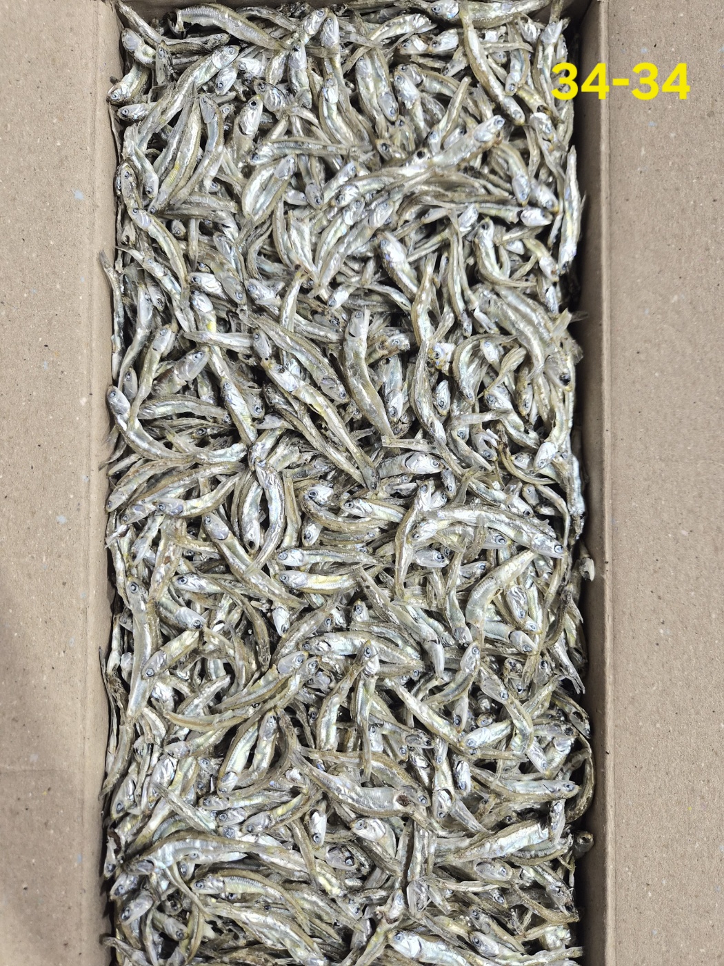 햇멸치,햇정치망, 햇고주바 중A급 1.5kg 34-34