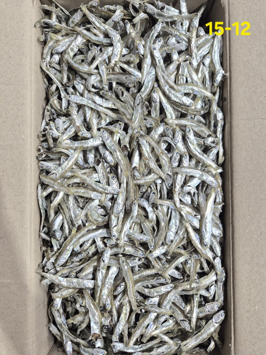 햇멸치,햇정치, 햇고주바 소A급 1.5kg 15-12